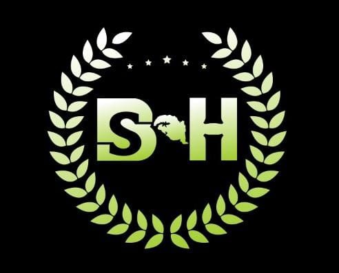 BSH Team