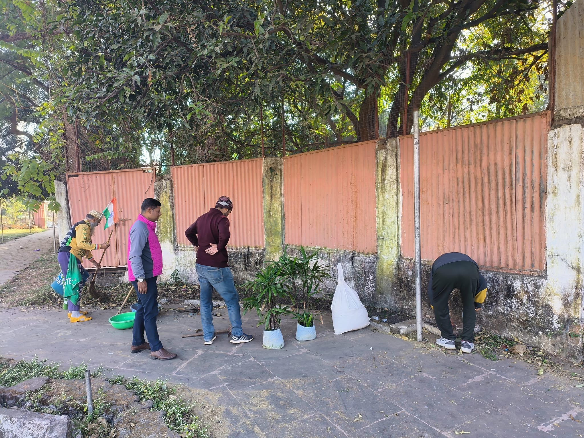 Garden cleanup