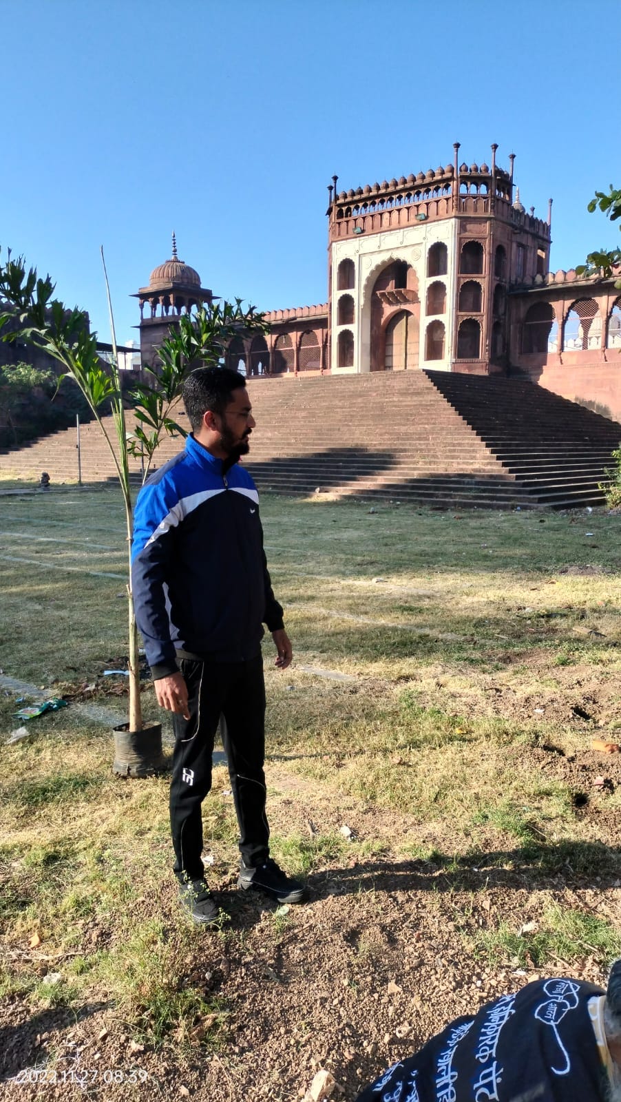 Plantation field work