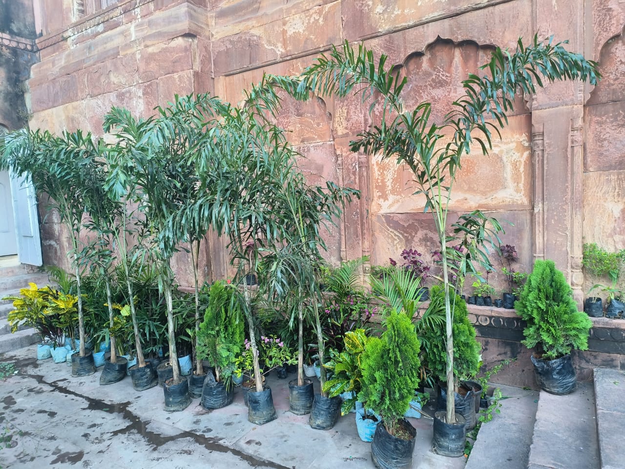 Environmental Sustainability